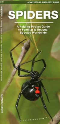 Book Cover for Spiders by James Kavanagh