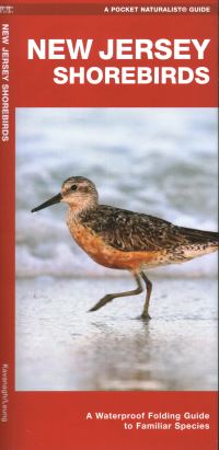 Book Cover for New Jersey Shorebirds by Waterford Press, James Kavanagh