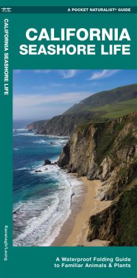 Book Cover for California Seashore Life by Waterford Press, James Kavanagh