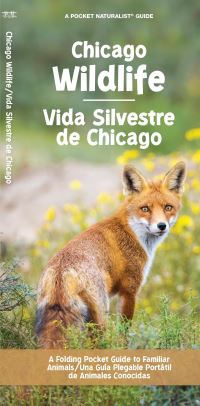 Book Cover for Chicago Wildlife/Fauna De Chicago by Waterford Press