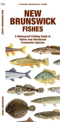 Book Cover for New Brunswick Fishes by Waterford Press, Matthew Morris