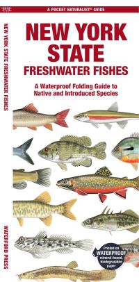 Book Cover for New York State Freshwater Fishes by Matthew Morris, Jill Kavanagh