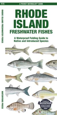Book Cover for Rhode Island Freshwater Fishes by Matthew Morris, Jill Kavanagh