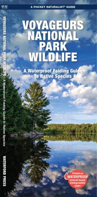 Book Cover for Voyageurs National Park Wildlife by Waterford Press, Jill Kavanagh