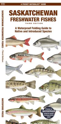 Book Cover for Saskatchewan Freshwater Fishes by Matthew Morris, Christopher Sommers, Jill Kavanagh