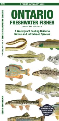 Book Cover for Ontario Freshwater Fishes by Matthew Morris, Waterford Press