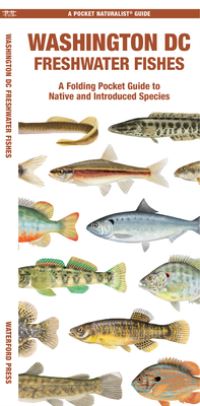 Book Cover for Washington DC Freshwater Fishes by Waterford Press, Matthew Morris