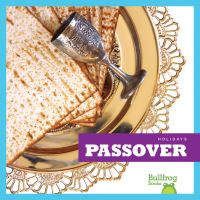 Book Cover for Passover by R J Bailey