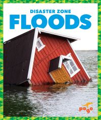 Book Cover for Floods by Vanessa Black