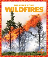 Book Cover for Wildfires by Vanessa Black