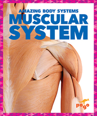 Book Cover for Muscular System by Karen Latchana Kenney