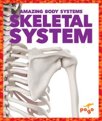 Book Cover for Skeletal System by Karen Latchana Kenney