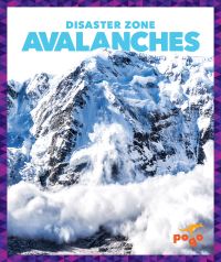 Book Cover for Avalanches by Vanessa Black