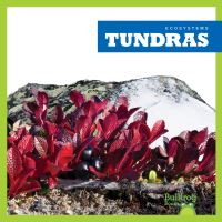 Book Cover for Tundras by Nadia Higgins