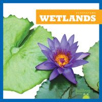 Book Cover for Wetlands by Nadia Higgins
