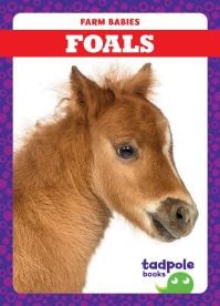 Book Cover for Foals by Tim Mayerling