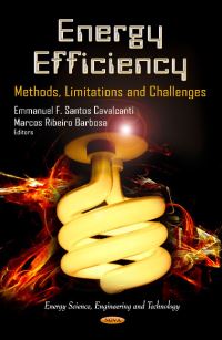 Book Cover for Energy Efficiency by Emmanuel F Santos Cavalcanti, Marcos Ribeiro Barbosa
