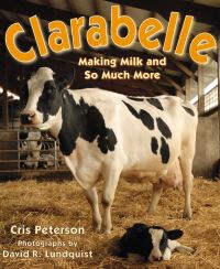 Book Cover for Clarabelle by Cris Peterson