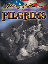 Book Cover for Pilgrims by LL Owens