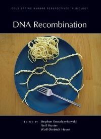 Book Cover for DNA Recombination by Steve Kowalczykowski, Neil Hunter, WolfDietrich Heyer