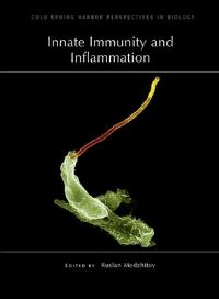 Book Cover for Innate Immunity and Inflammation by Ruslan Medzhitov