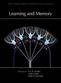 Book Cover for Learning and Memory by Eric R Kandel, Yadin Dudai, Mark R Mayford