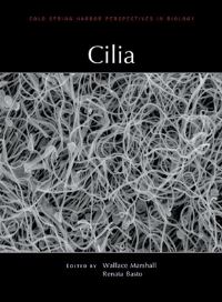 Book Cover for Cilia by Wallace F Marshall, Renata Basto