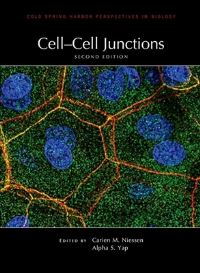 Book Cover for Cell-Cell Junctions by Carien M Niessen, Alpha S Yap