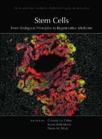 Book Cover for Stem Cells by Cristina Lo Celso, Kristy RedHorse, Fiona M Watt
