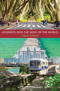 Book Cover for Journeys Into the Mind of the World by Richard Tillinghast