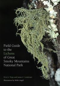 Book Cover for Field Guide to the Lichens of Great Smoky Mountains National Park by Erin Anne Tripp, James C Lendemer