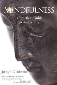 Book Cover for Mindfulness by Joseph Goldstein