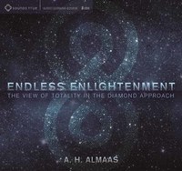 Book Cover for Endless Enlightenment by A H Almaas