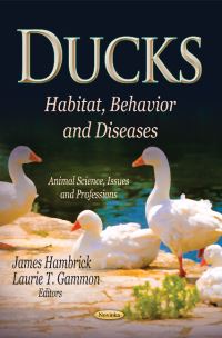 Book Cover for Ducks by James Hambrick, Laurie T Gammon