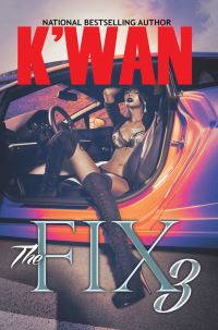 Book Cover for The Fix 3 by Kwan