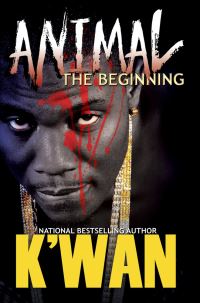 Book Cover for The Beginning by Kwan