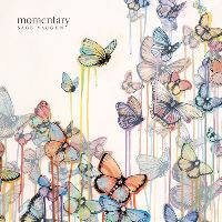 Book Cover for Momentary by Sage Vaughn, Steve Christ
