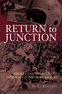 Book Cover for Return to Junction by Gary Rollins