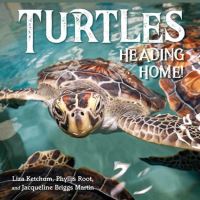 Book Cover for Turtles Heading Home by Liza Ketchum, Phyllis Root, Jacqueline Briggs Martin