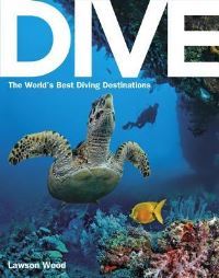 Book Cover for Dive by Lawson Wood