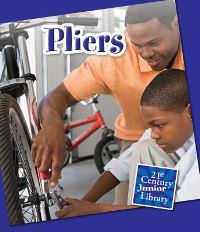 Book Cover for Pliers by Katie Marsico