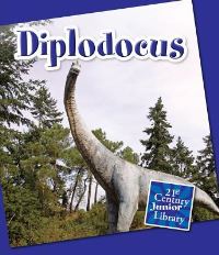 Book Cover for Diplodocus by Terence ONeill, Josh Williams