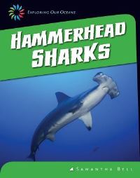 Book Cover for Hammerhead Sharks by Samantha Bell