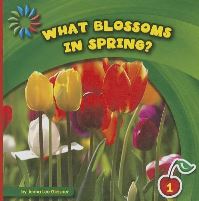 Book Cover for What Blossoms in Spring? by Jenna Lee Gleisner