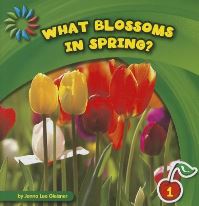 Book Cover for What Blossoms in Spring? by Jenna Lee Gleisner