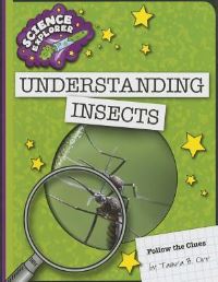 Book Cover for Understanding Insects by Tamra Orr