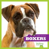 Book Cover for Boxers by Nadia Higgins