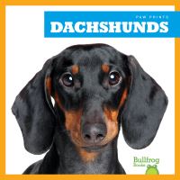 Book Cover for Dachshunds by Kaitlyn Duling