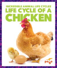 Book Cover for Life Cycle of a Chicken by Karen Latchana Kenney