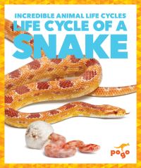Book Cover for Life Cycle of a Snake by Karen Latchana Kenney